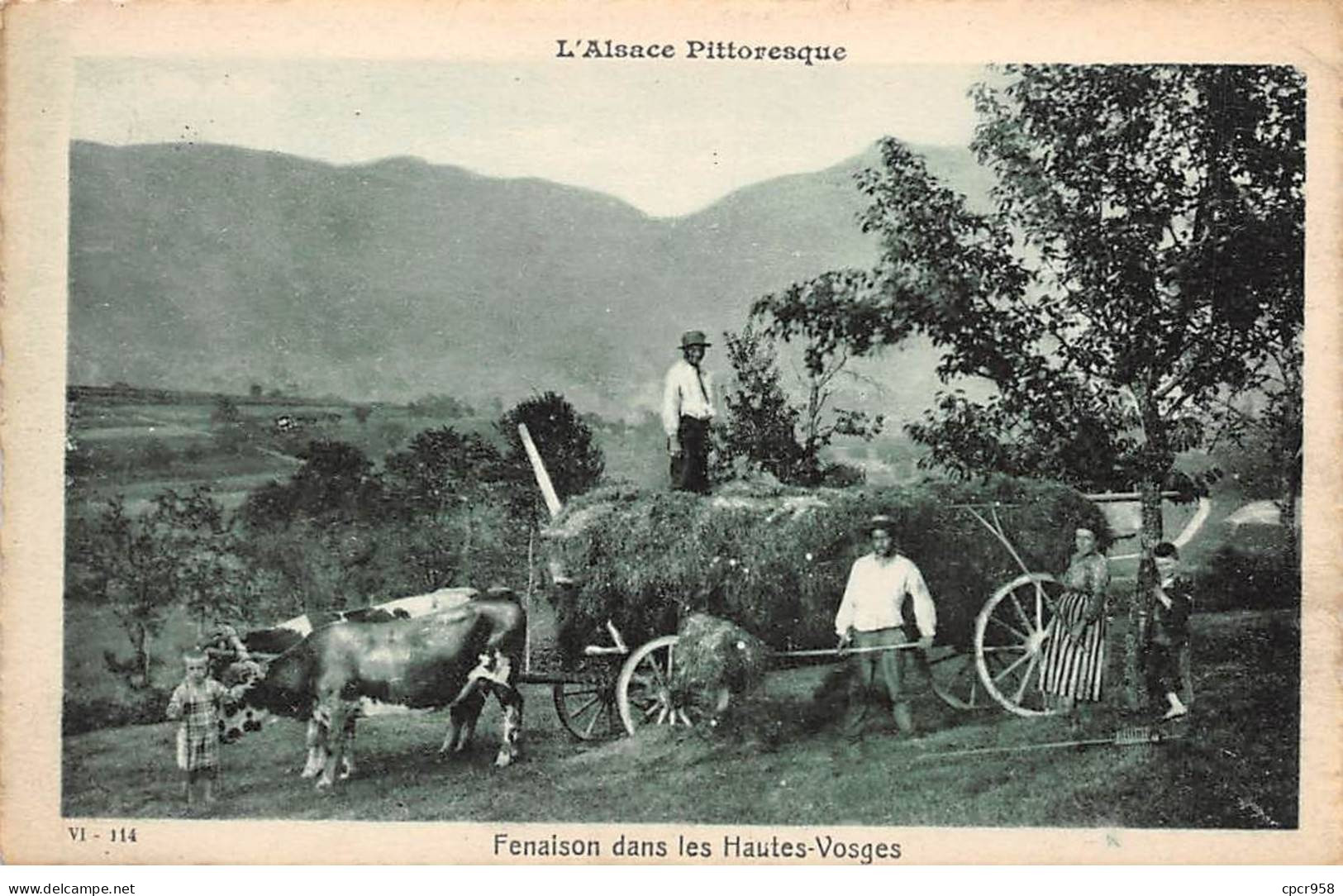 68 - ALSACE - SAN27424 - Fenaison Dans Les Hautes Vosges - Agriculture - Masevaux
