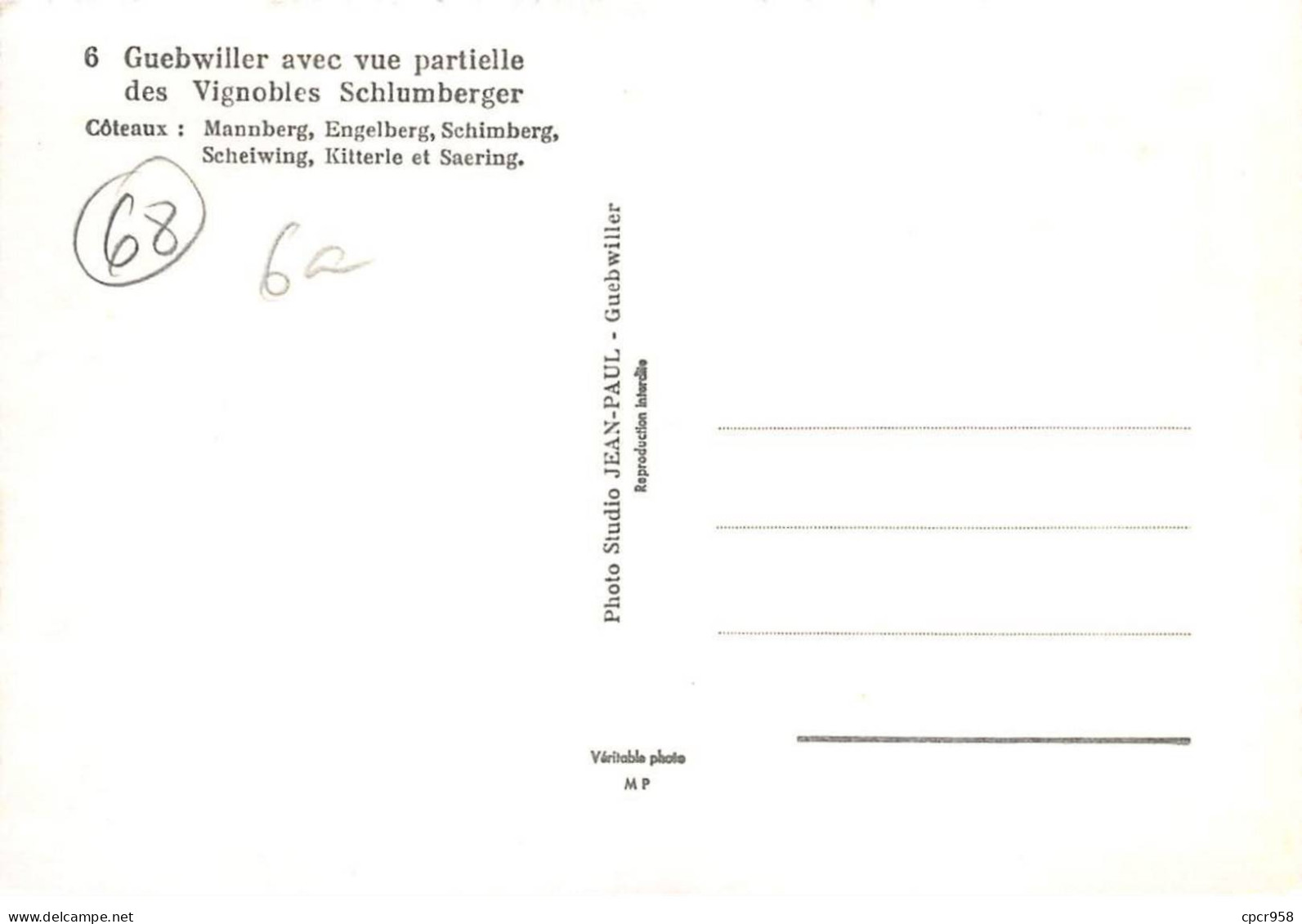 68 - GUEBWILLER - SAN23644 - Vue Partielle Des Vignobles Schlumberger - CPSM 15X10,5 Cm - Guebwiller