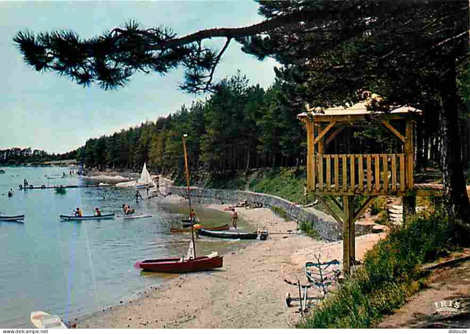 31 - Saint Ferreol - Le Lac - La Plage - Carte Neuve - CPM - Voir Scans Recto-Verso - Saint Ferreol