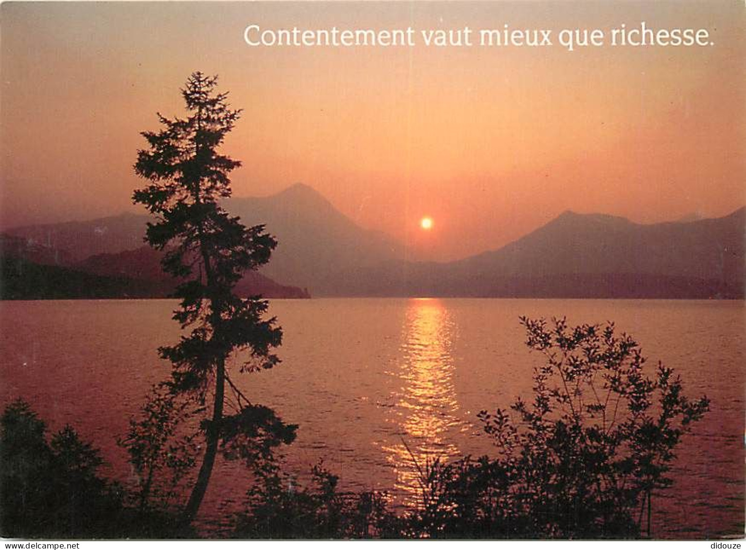 Coucher De Soleil - CPM - Voir Scans Recto-Verso - Contre La Lumière