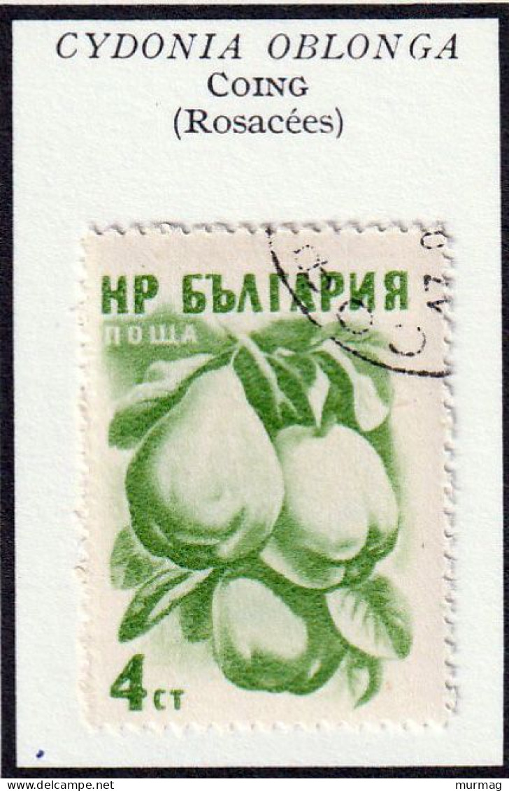 BULGARIE - Fruits, Cerise, Coing, Poire, Pomme - Y&T N° 851-853, 855 - 856 - 1956-1957 - Oblitérés - Used Stamps