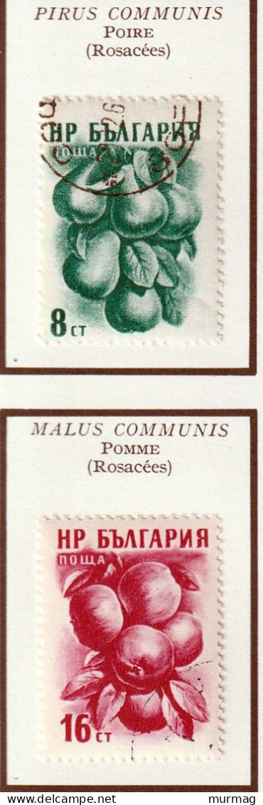 BULGARIE - Fruits, Cerise, Coing, Poire, Pomme - Y&T N° 851-853, 855 - 856 - 1956-1957 - Oblitérés - Gebruikt