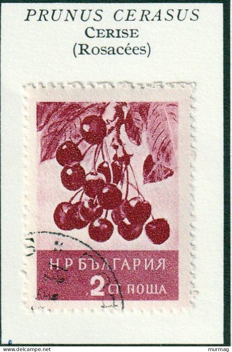 BULGARIE - Fruits, Cerise, Coing, Poire, Pomme - Y&T N° 851-853, 855 - 856 - 1956-1957 - Oblitérés - Usati