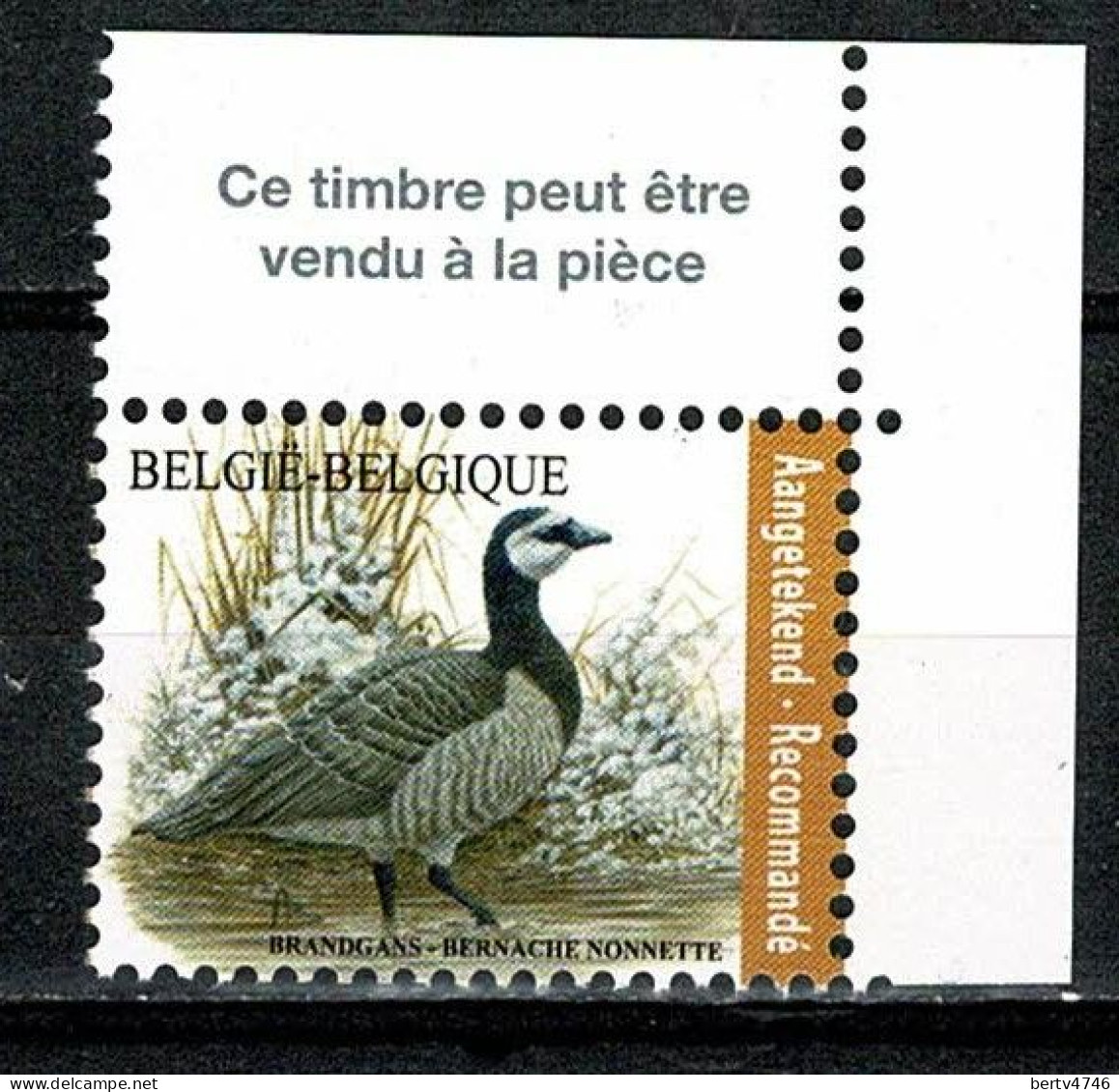 Belg. 2020 OBP/COB 4912**- Buzin - Brandgans  / Bernache Nonnette - Aantekenport / Envoi Recommendé - Nuovi