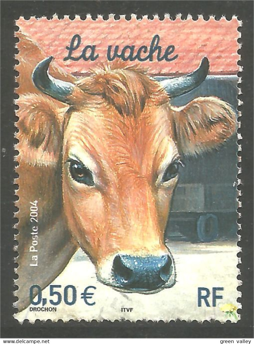 329 France Vache Cow Kuh Koe Vaca Vacca Sans Gomme No Gum (661) - Koeien