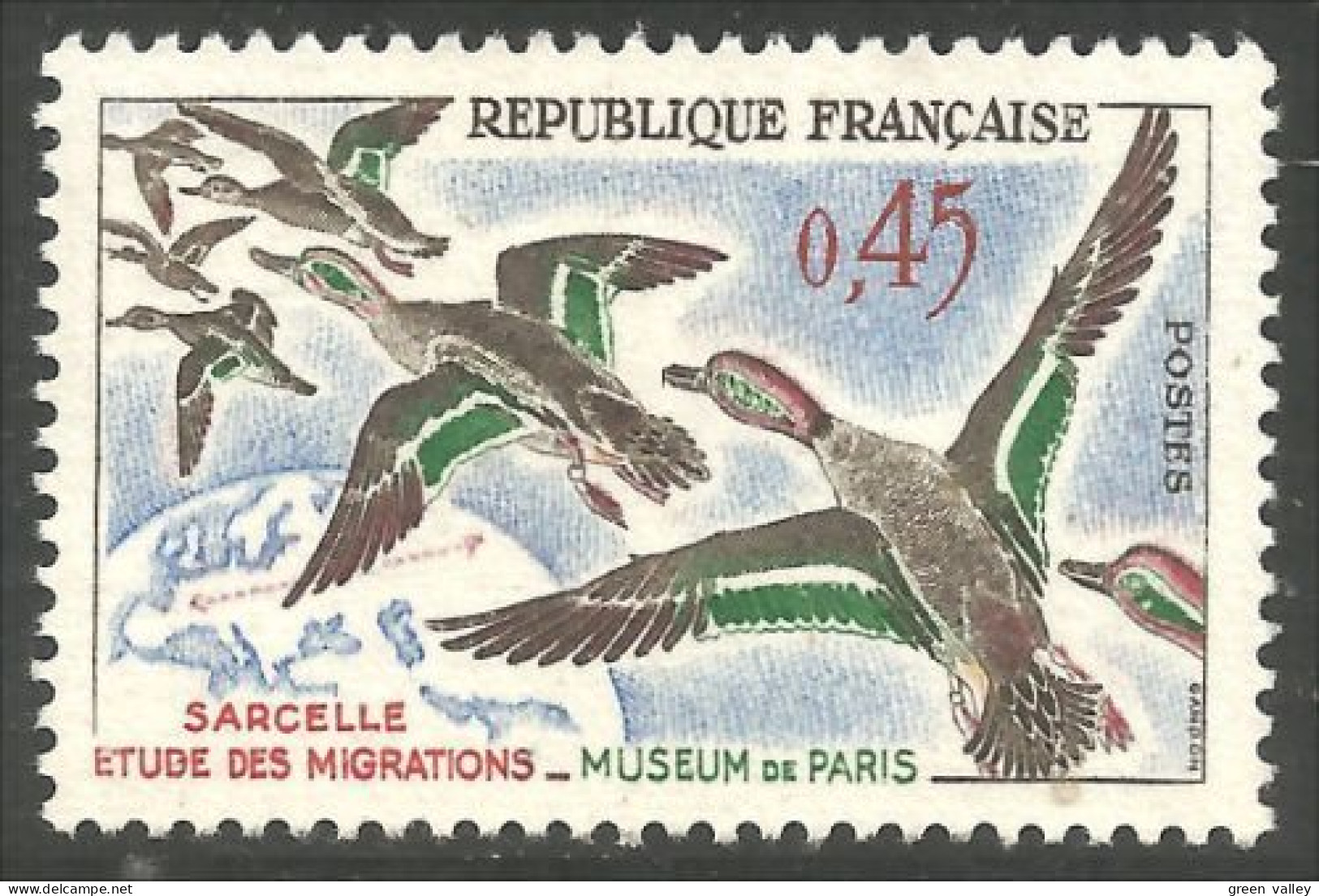329 France Yv 1275 Sarcelles Oiseaux Birds Vogel Canard Duck Ente MH * Neuf Très Légère (593) - Eenden