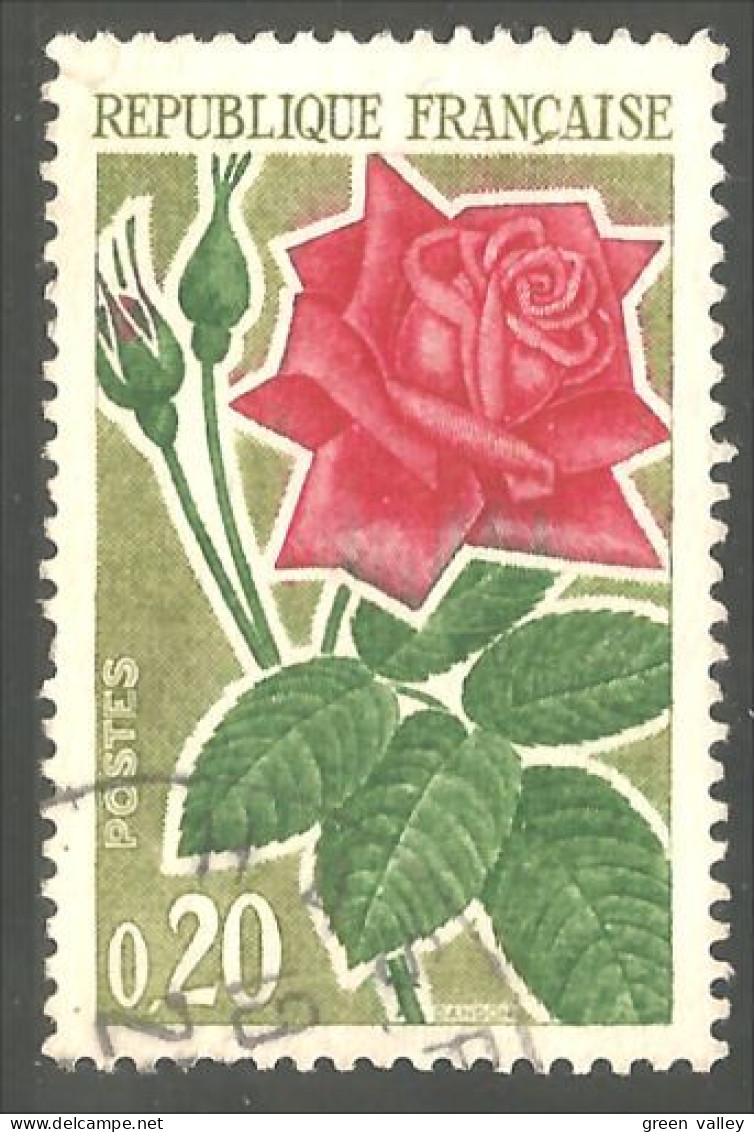 329 France Yv 1356 Rose (435) - Rozen