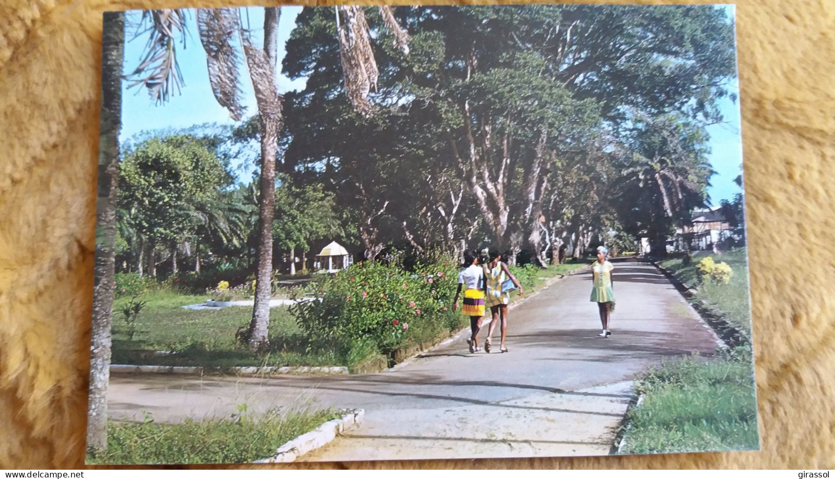 CPM GUYANE CAYENNE LE JARDIN BOTANIQUE ED DELABERGERIE 519 1986 - Cayenne