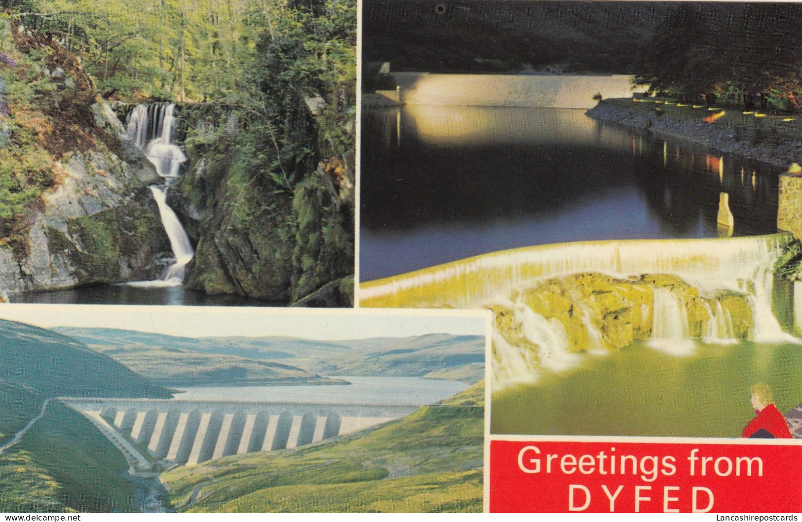 Postcard Greetings From Dyfed My Ref B14921 - Cardiganshire
