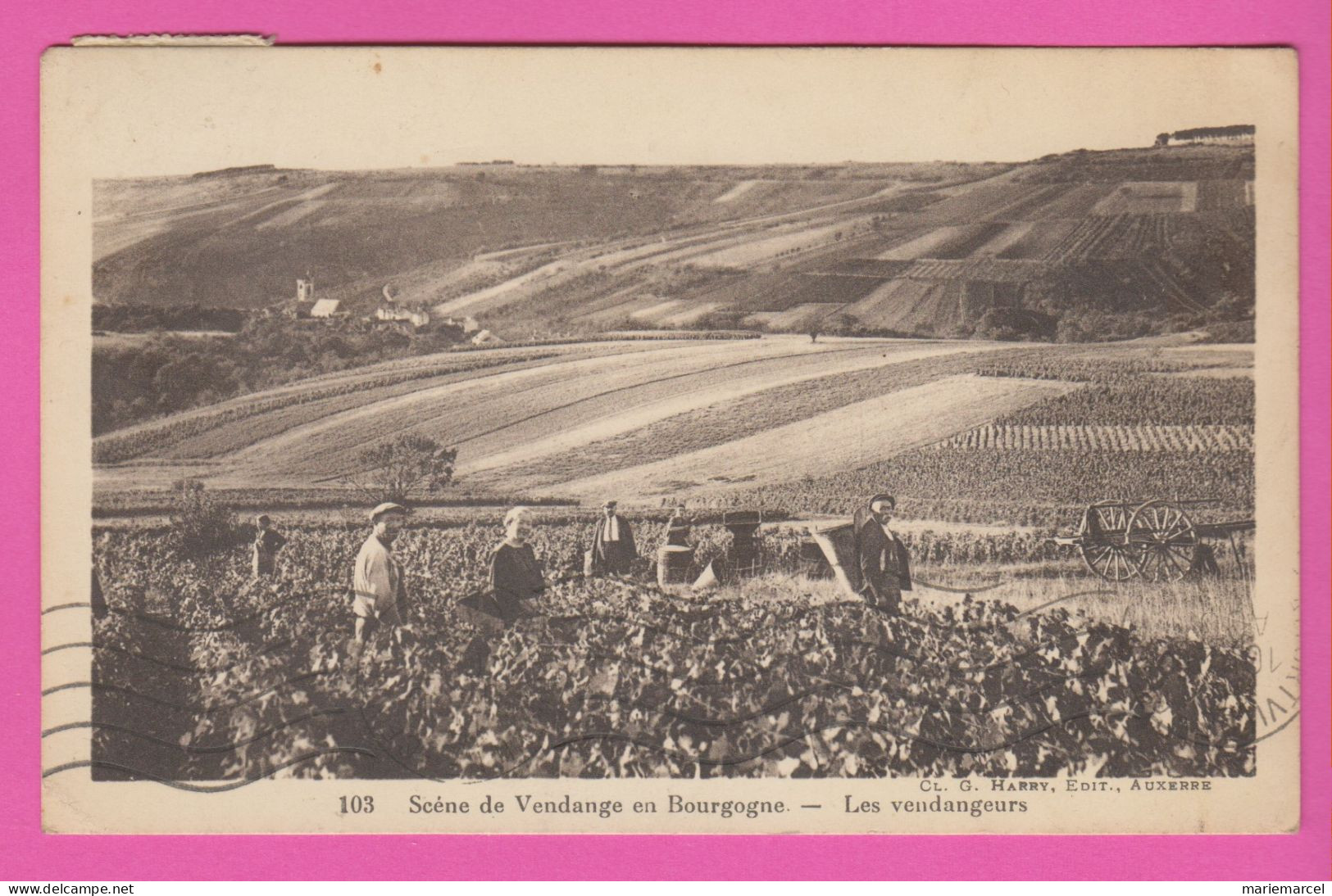 SCÈNE DE VENDANGE EN BOURGOGNE - LES VENDANGEURS - Charrette - Bourgogne