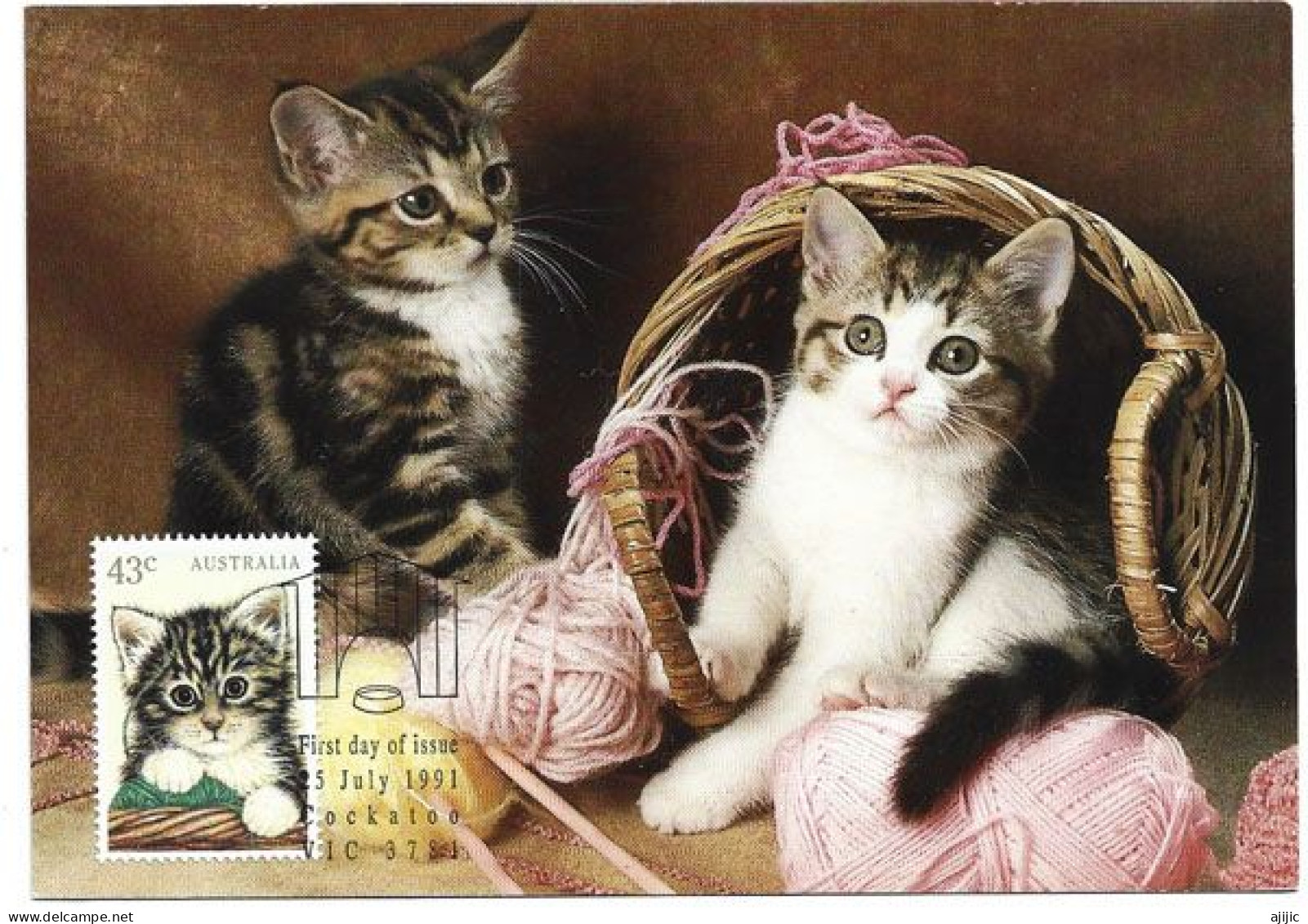 AUSTRALIE. Nos Animaux Domestiques:  Les Chatons .  Carte-maximum - Chats Domestiques