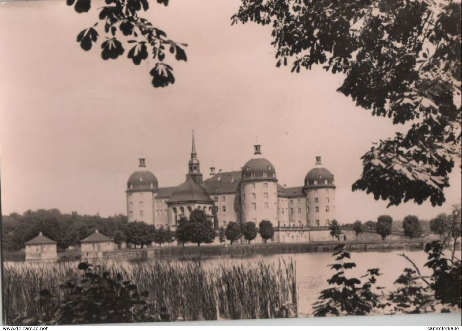 56263 - Moritzburg - Museum, Schloss - Ca. 1970 - Moritzburg