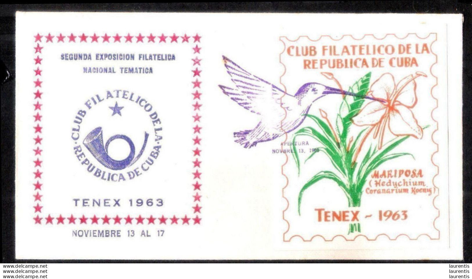 575  Hummingbirds - 1963 - Special Cancellation - Cb - 7,50 - Lettres & Documents
