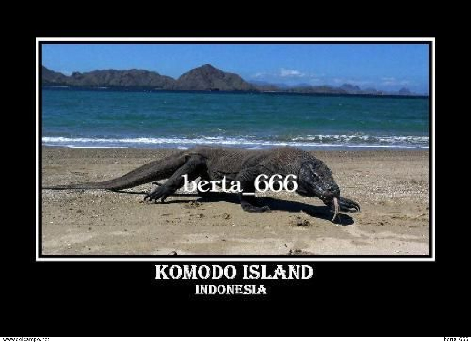 Indonesia Komodo Dragon Komodo Island UNESCO New Postcard - Indonesia