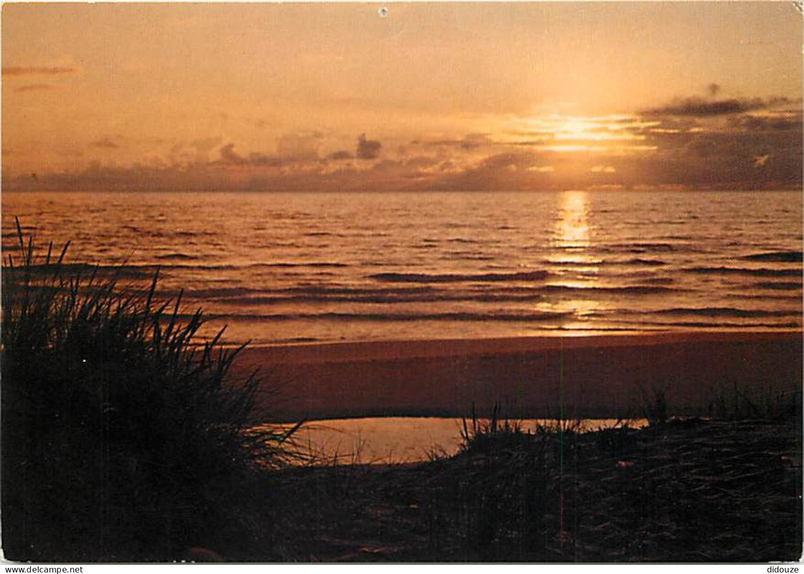 Coucher De Soleil - CPM - Voir Scans Recto-Verso - Contre La Lumière