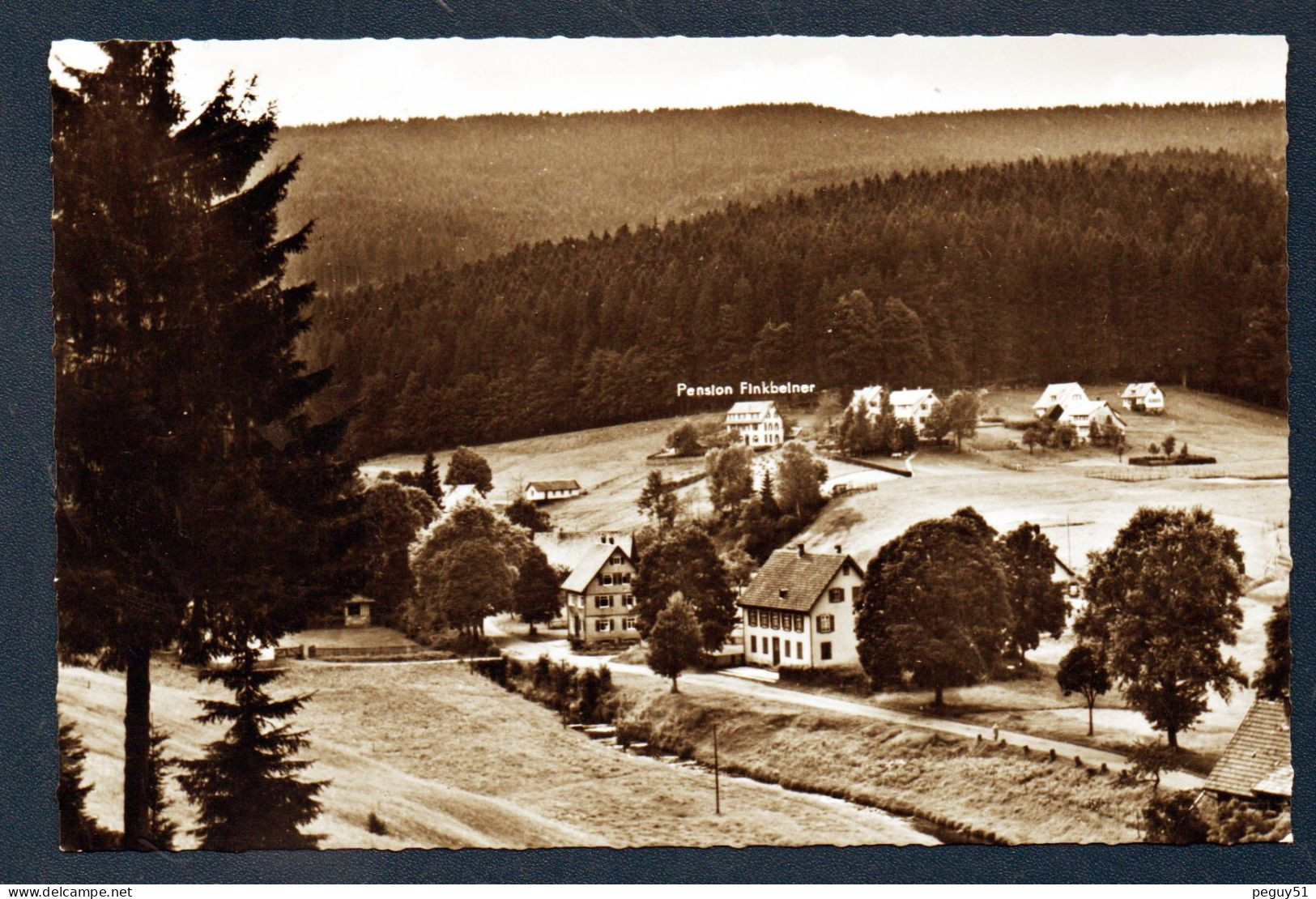 Luftkurort Buhlbach ( Bahnstation Baiersbronn). Pension Haus Finkbeiner. - Baiersbronn