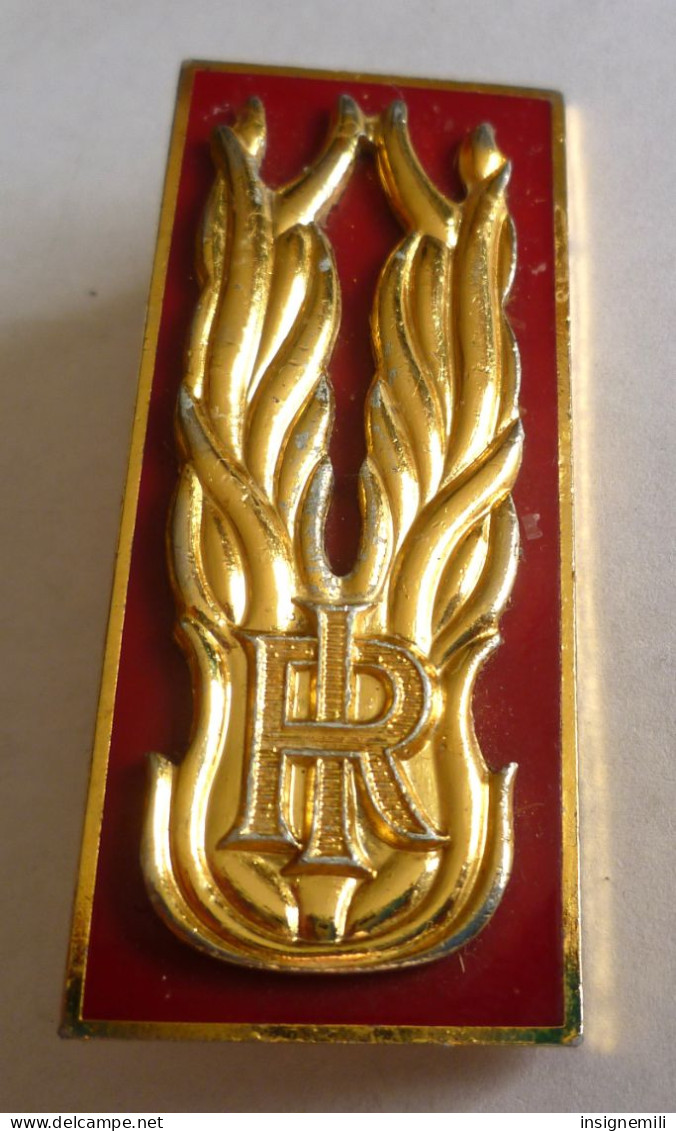 INSIGNE RI - REPUBLIQUE ITALIENNE - TURCO NAPOLI - Fixation Type Pin's - Esercito