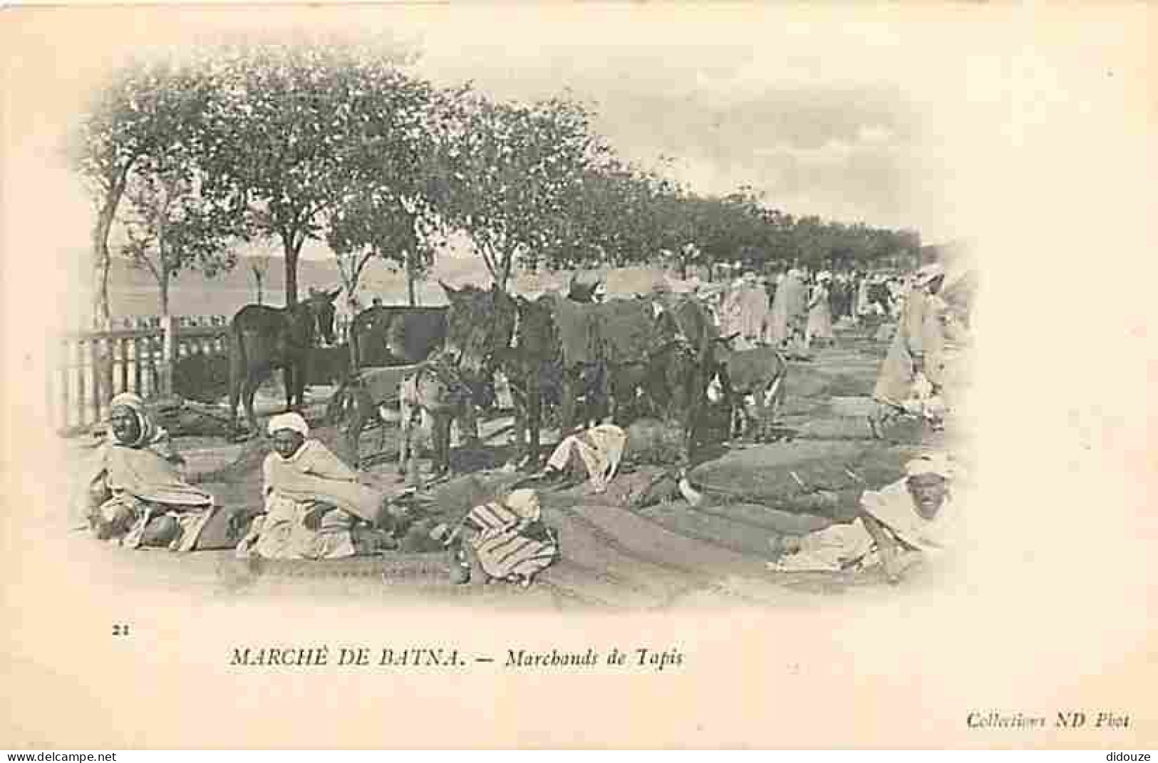 Algérie - Batna - Marché De Batna - Marchands De Tapis - Animée - Anes - Précurseur - Carte Neuve - CPA - Voir Scans Rec - Batna