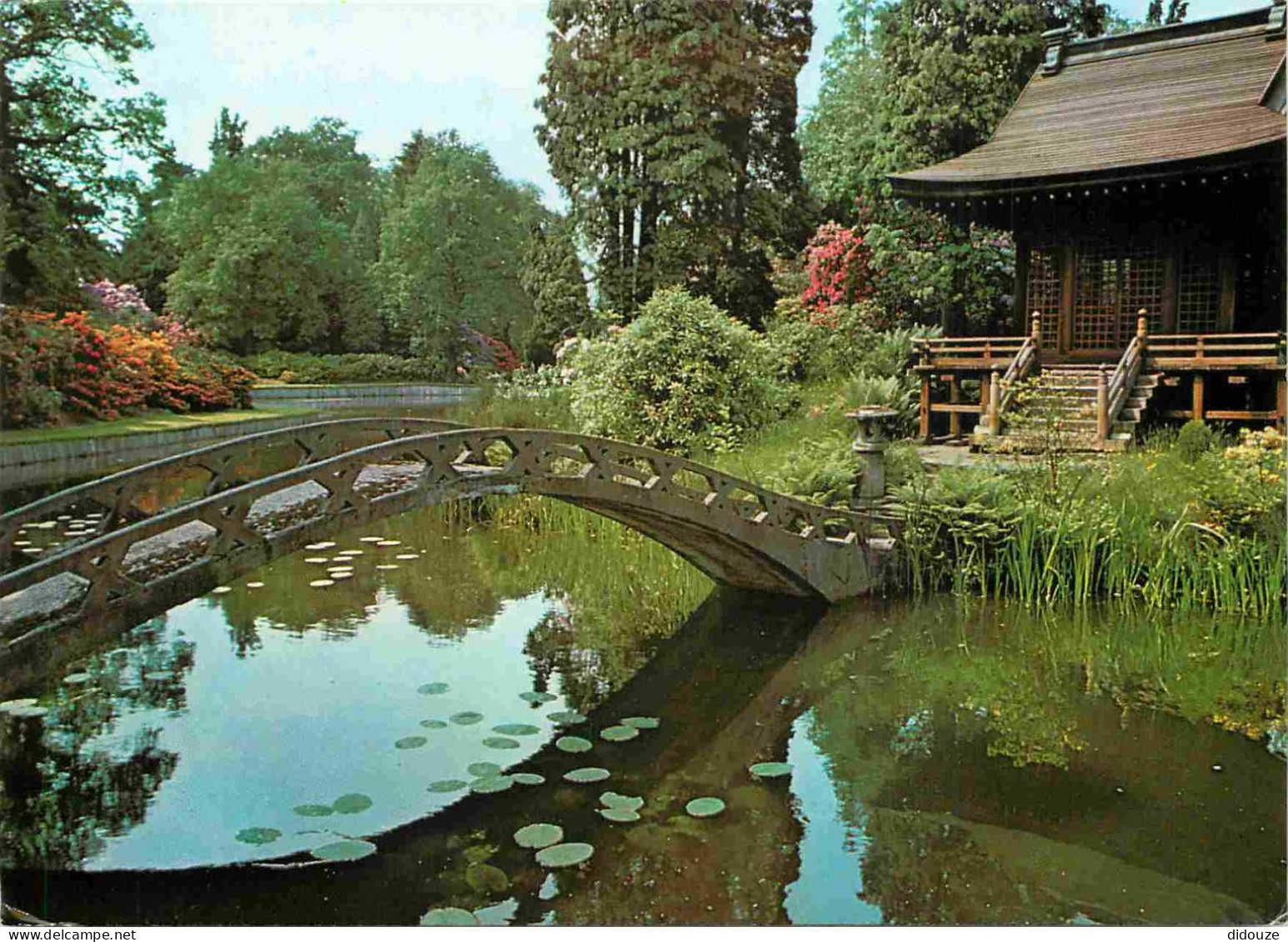 Angleterre - Knutsford - Japanese Garden - Willow Pattern Bridge And Shinto Temple - Cheshire - England - Royaume Uni -  - Autres & Non Classés