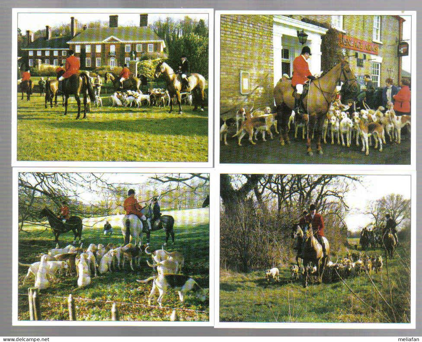 D047 - SERIE 10 CARTES - CHASSE A COURRE - HUNTING WITH THE SOUTH WOLD - Otros & Sin Clasificación