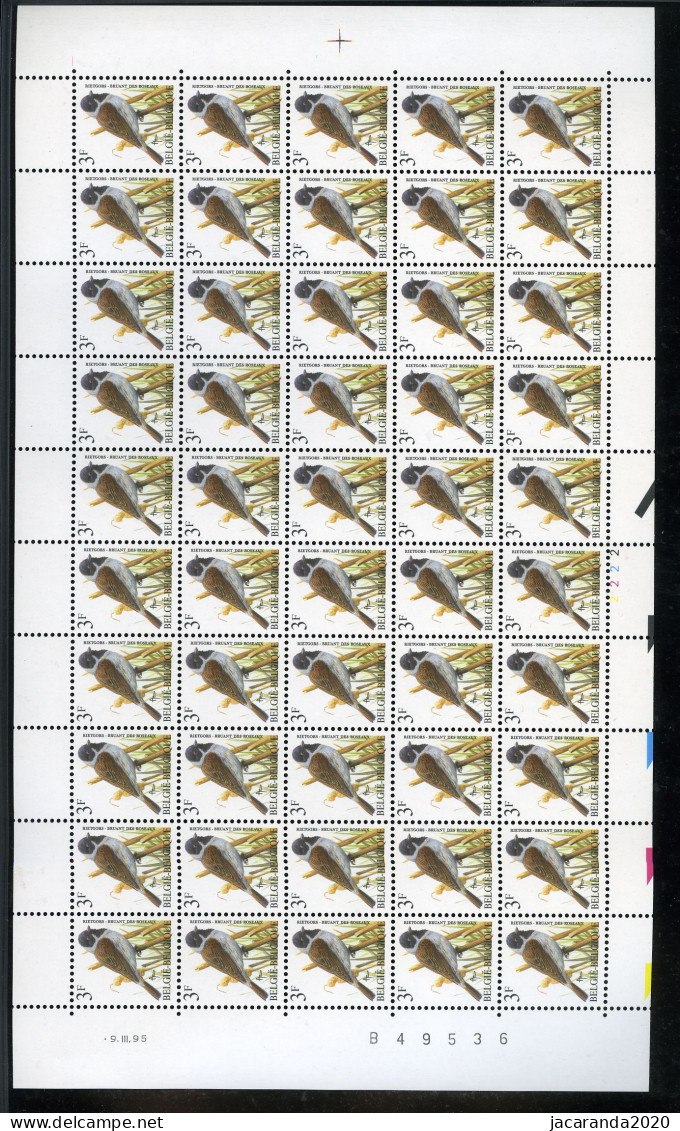België 2425P8 - Rietgors - Bruant Des Roseaux - 3F - Volledig Vel - André Buzin - FL/GR - 9.III.95 - Paar - PL2 - 1985-.. Pájaros (Buzin)