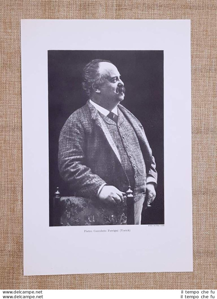 Pietro Coccoluto Ferrigni O Yorick 1836 –  1895 Scrittore Stampa Del 1949 - Sonstige & Ohne Zuordnung