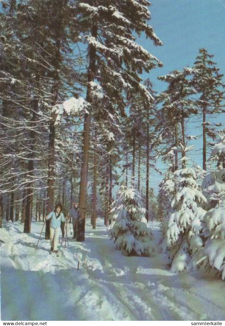 5969 - Ski-Längläufer Im Wald - 1981 - Landkarten