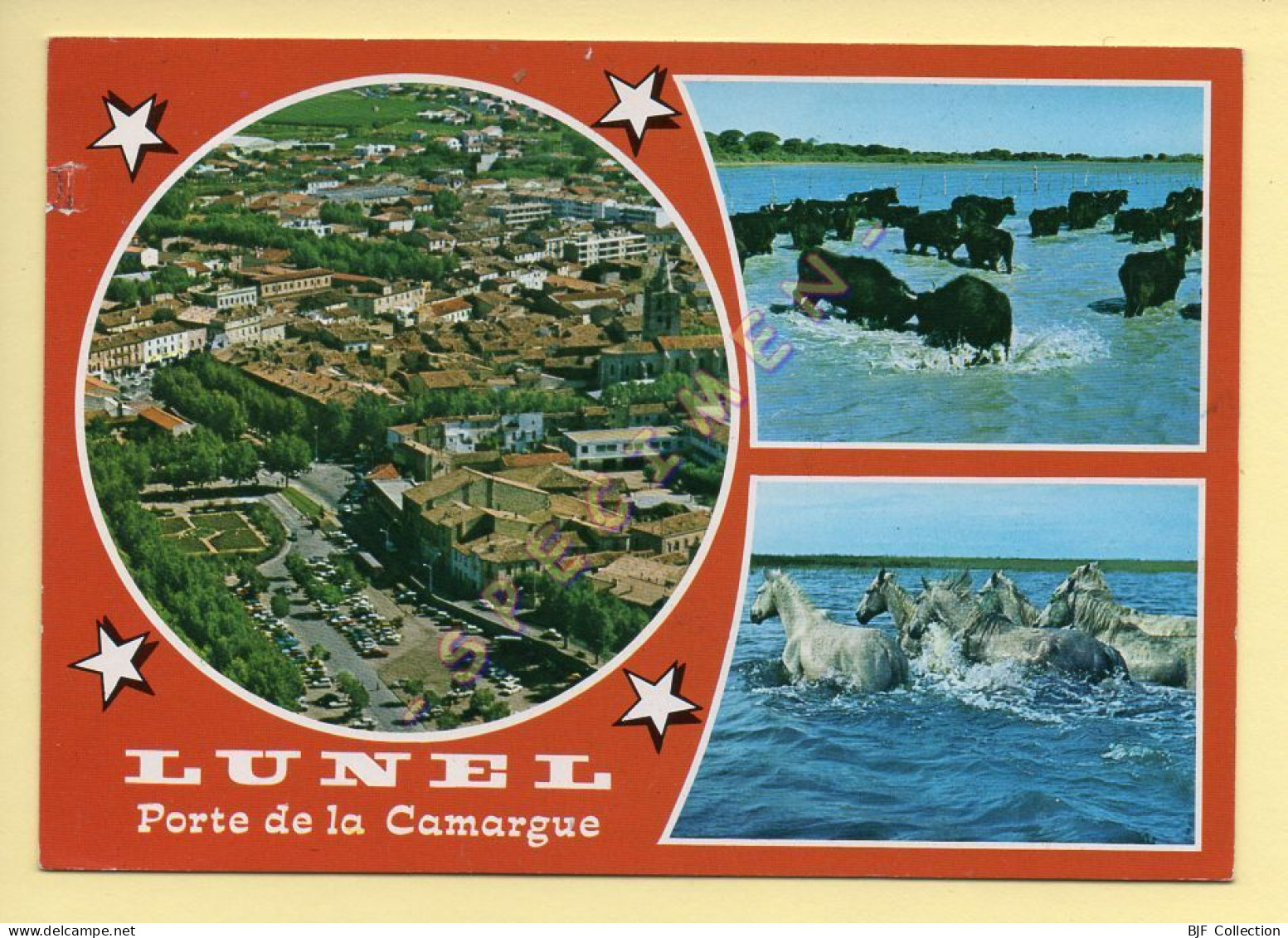 34. LUNEL – Porte De La Camargue - Multivues (chevaux, Taureau, Vue Aérienne) (voir Scan Recto/verso) - Lunel