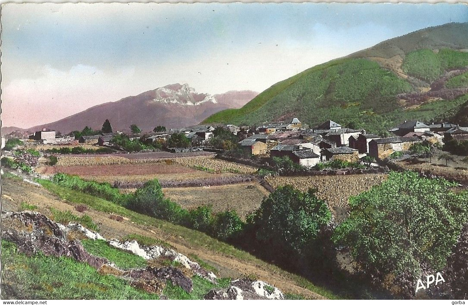 *CPA - 65 - MAULEON BAROUSSE - Vue Générale D'Ourde - Mauleon Barousse