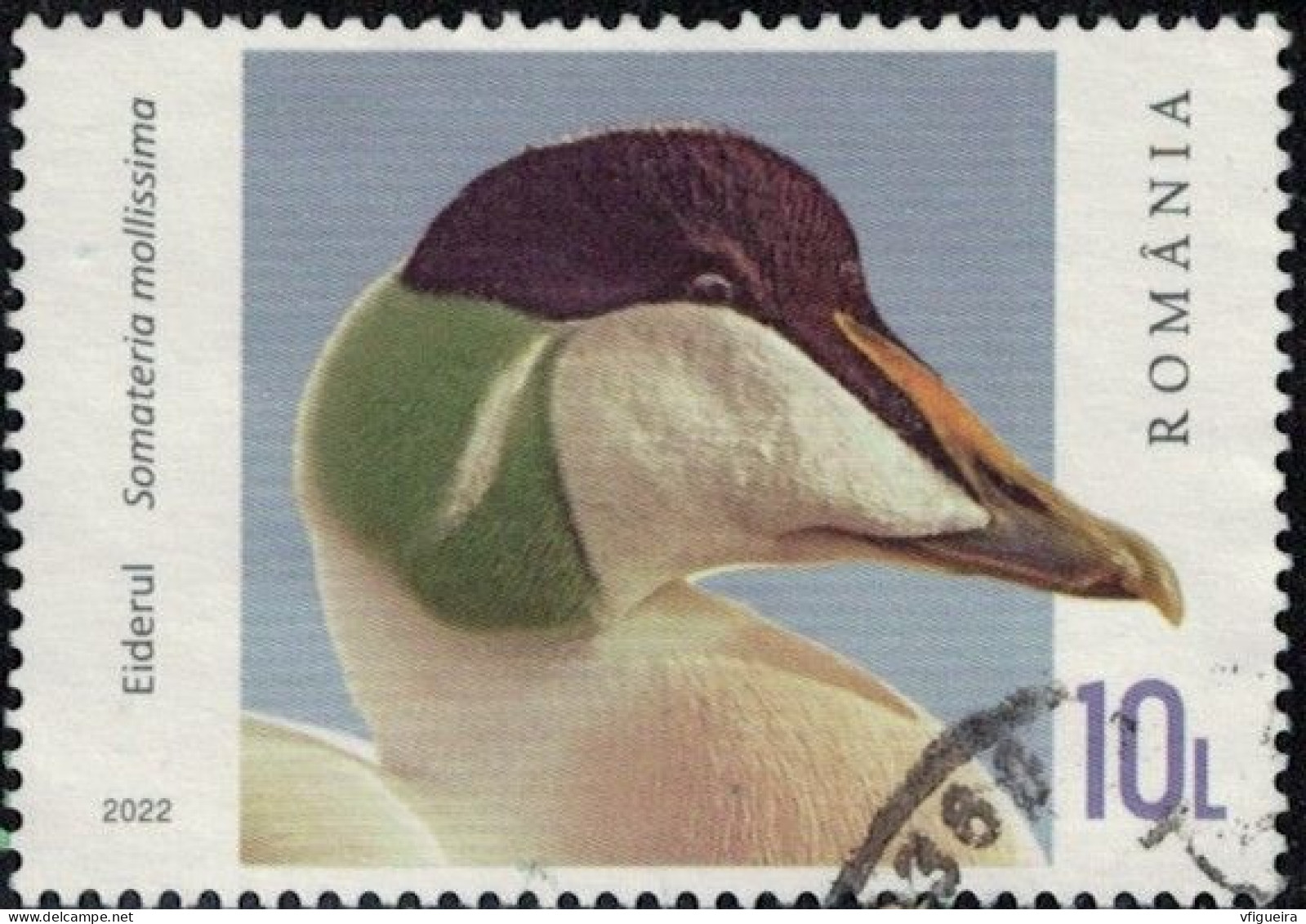 Roumanie 2022 Oblitéré Used Canard Plongeur Somateria Mollissima Eider à Duvet Y&T RO 6896 SU - Used Stamps