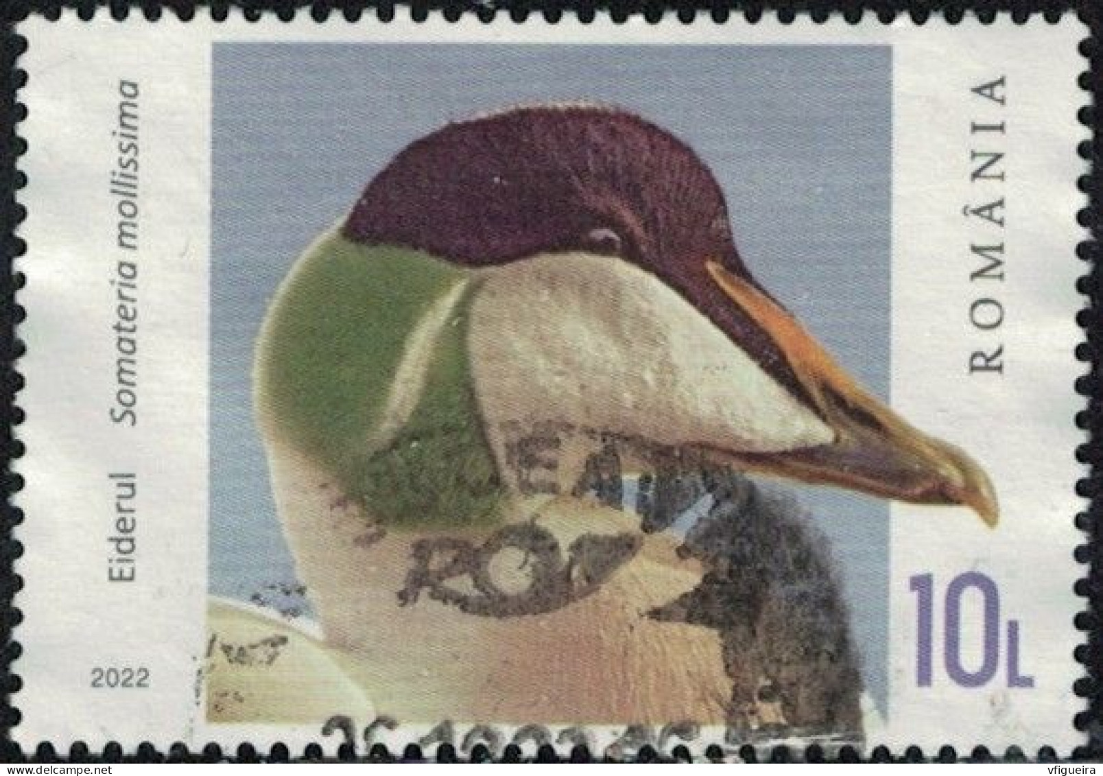 Roumanie 2022 Oblitéré Used Canard Plongeur Somateria Mollissima Eider à Duvet Y&T RO 6896 SU - Used Stamps