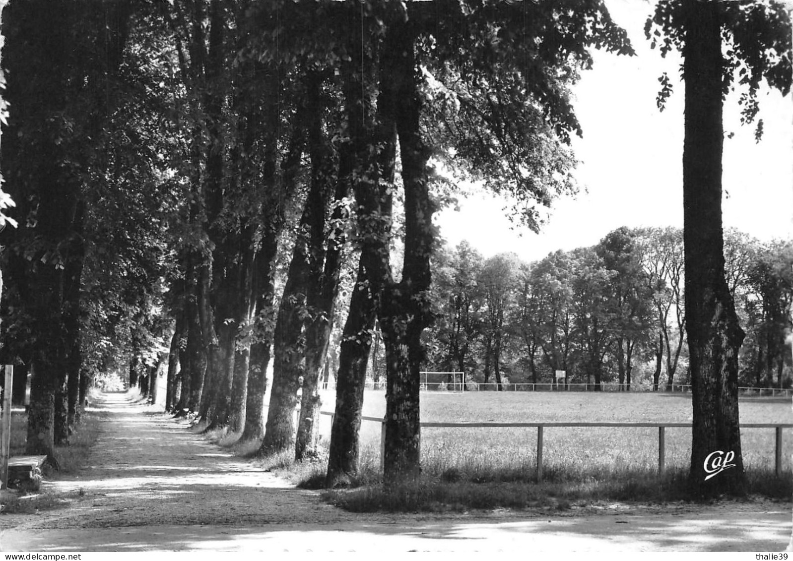 Clairvaux Stade - Clairvaux Les Lacs