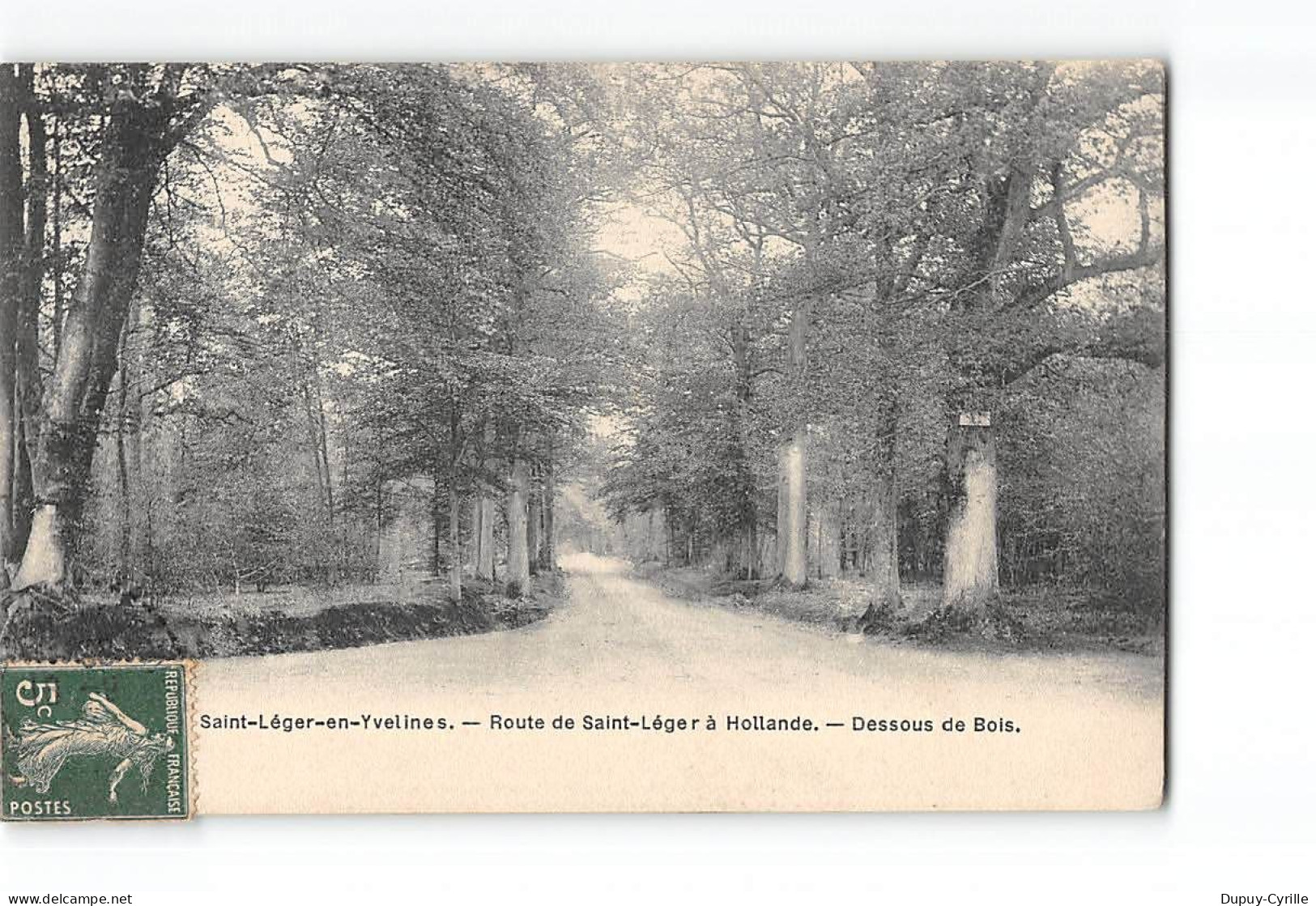 SAINT LEGER EN YVELINES - Route De Saint Léger à Hollande - Dessous De Bois - Très Bon état - St. Leger En Yvelines