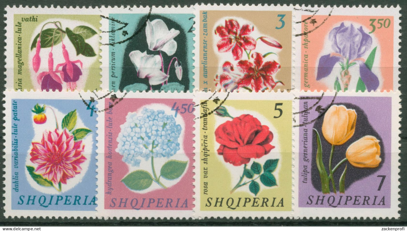 Albanien 1965 Pflanzen Blumen Lilie Tulpe Rose 959/66 Gestempelt - Albania