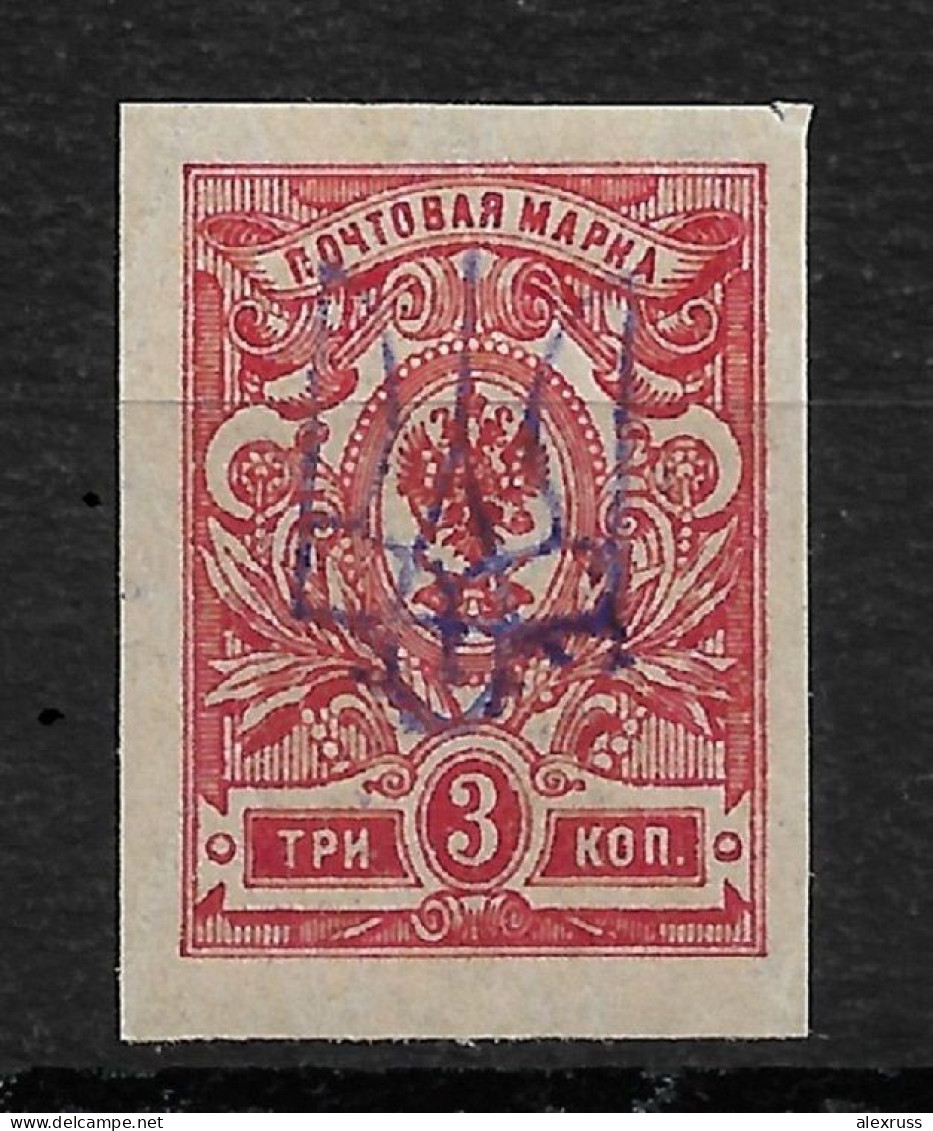 Russia/Ukraine 1918-19 Civil War, Kiev Type-2 Vio Ink Trident 3k,VF MNH** (LTSK) - Oekraïne & Oost-Oekraïne