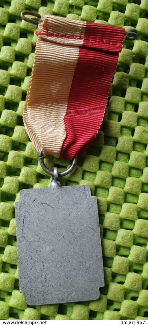 Medaile    R.K.W.S.V. V.i.o.s. , Fa. V. Harsel Ammerzoden .  . -  Original Foto  !!  Medallion  Dutch - Andere & Zonder Classificatie