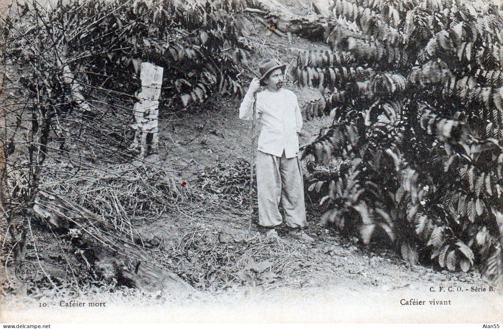 CONGO FRANCAIS.1907.CPA POUR FRANCE. "PANTHERES". PHOTO: CAFEIER. - Covers & Documents