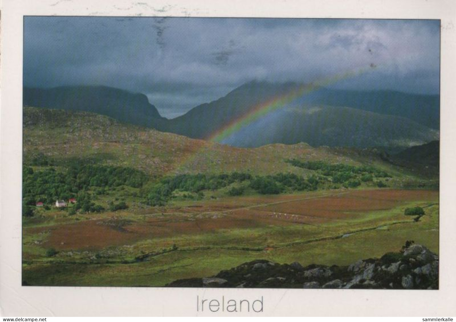 98990 - Irland - Killarney - 2013 - Kerry