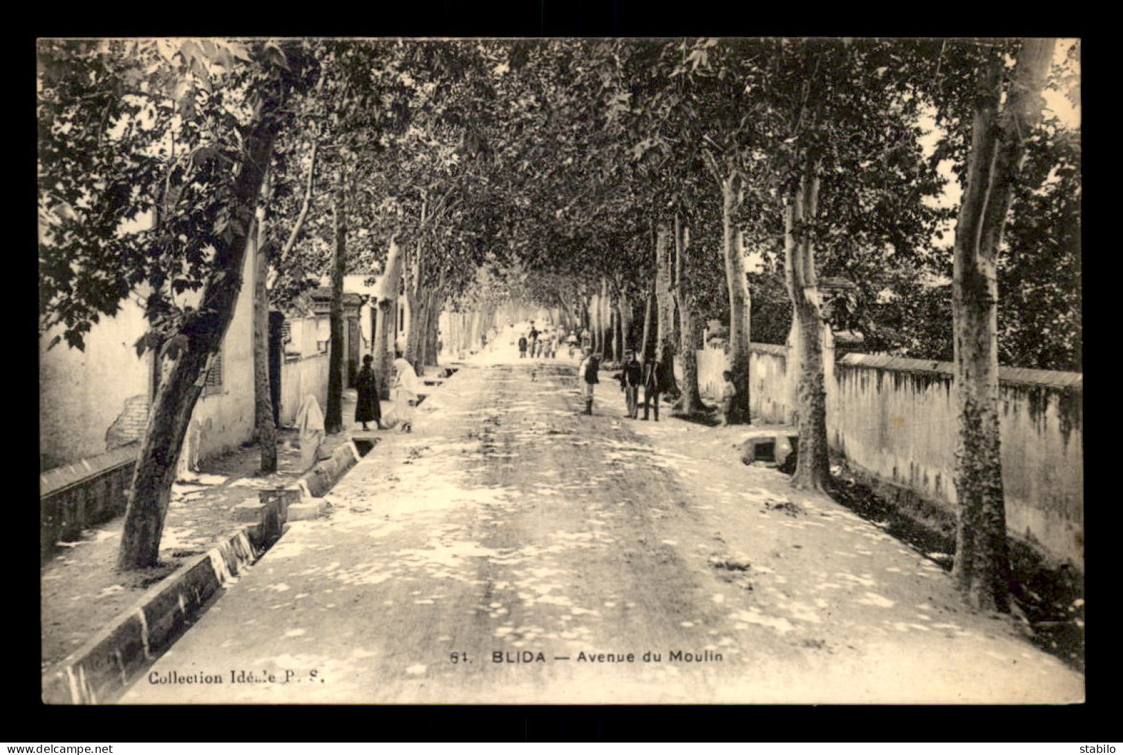 ALGERIE - BLIDA - AVENUE DU MOULIN - Blida