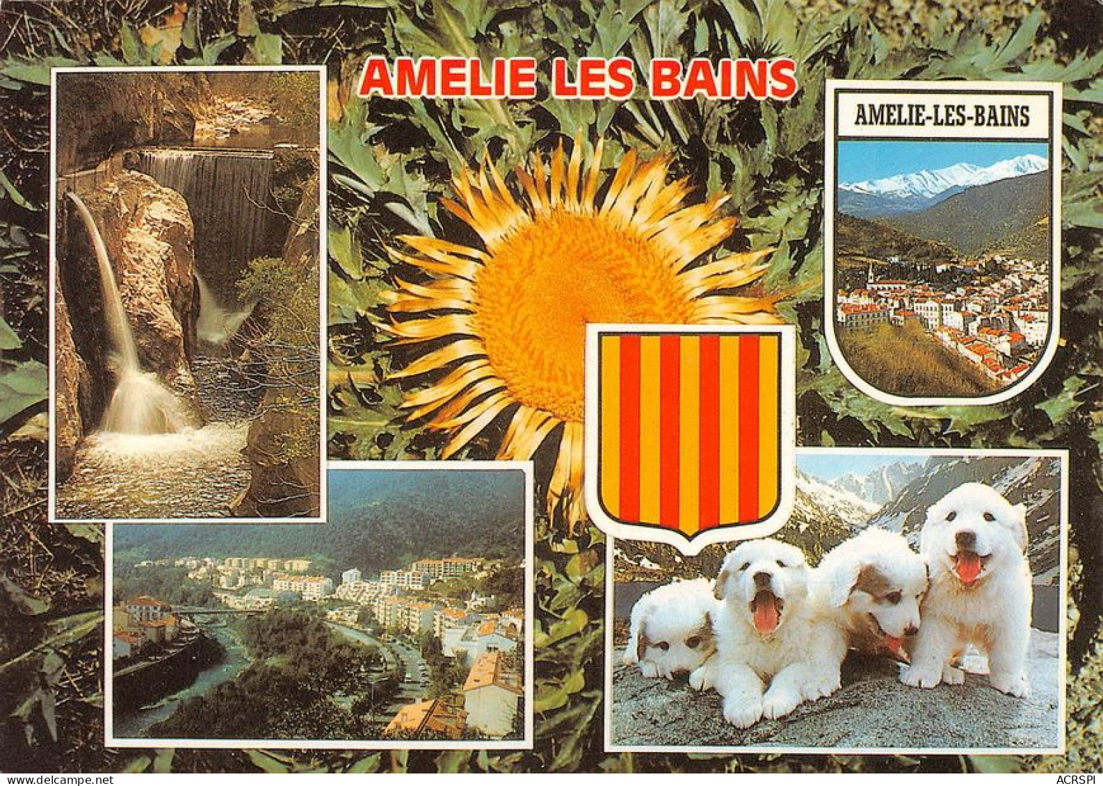 66 Amélie-les-Bains-Palalda   Couleurs Du VALLESPIR   (Scan R/V) N°   38  \MT9126 - Ceret