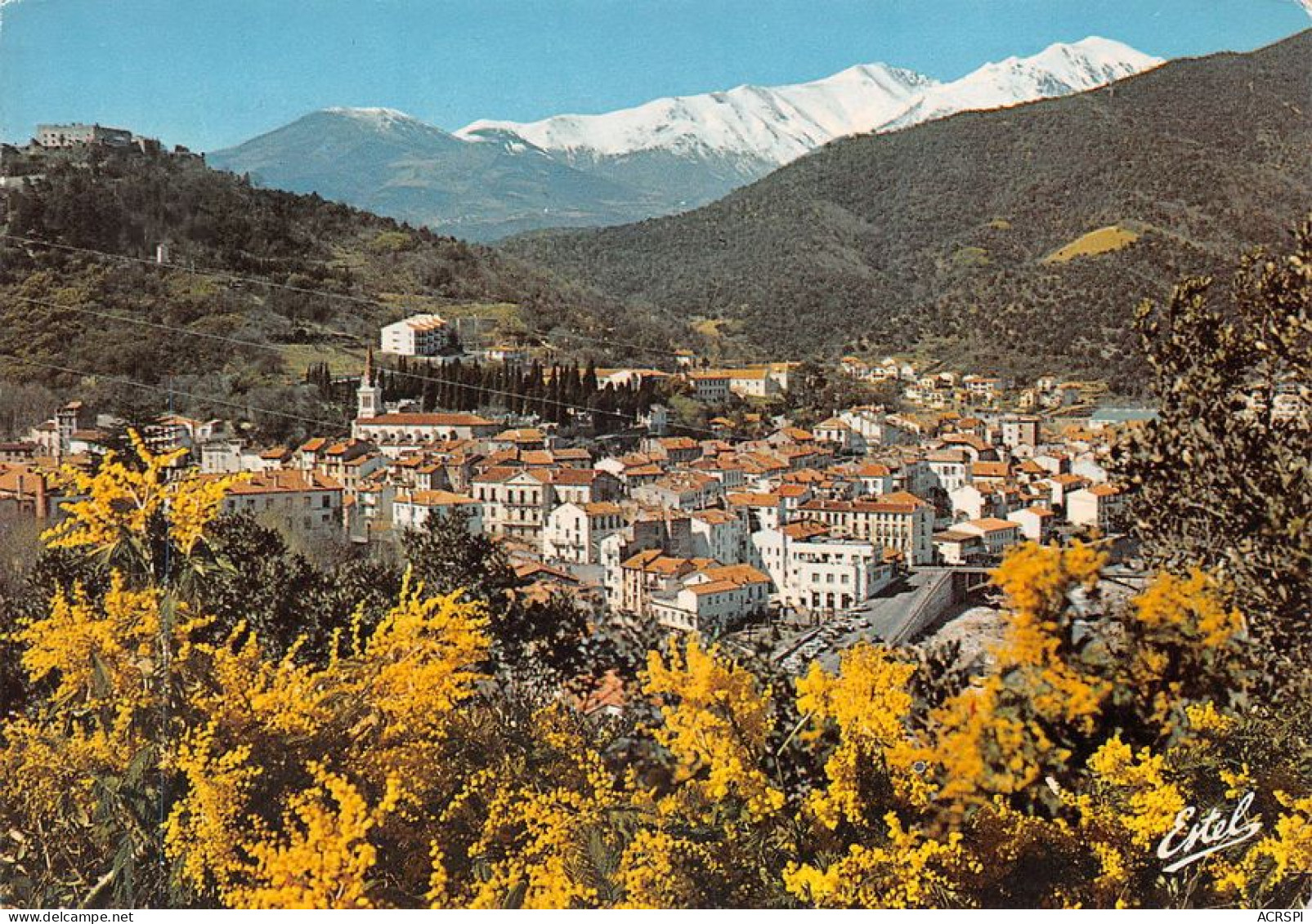 66 Amélie-les-Bains-Palalda  Vue Générale  (Scan R/V) N°   54   \MT9125 - Ceret