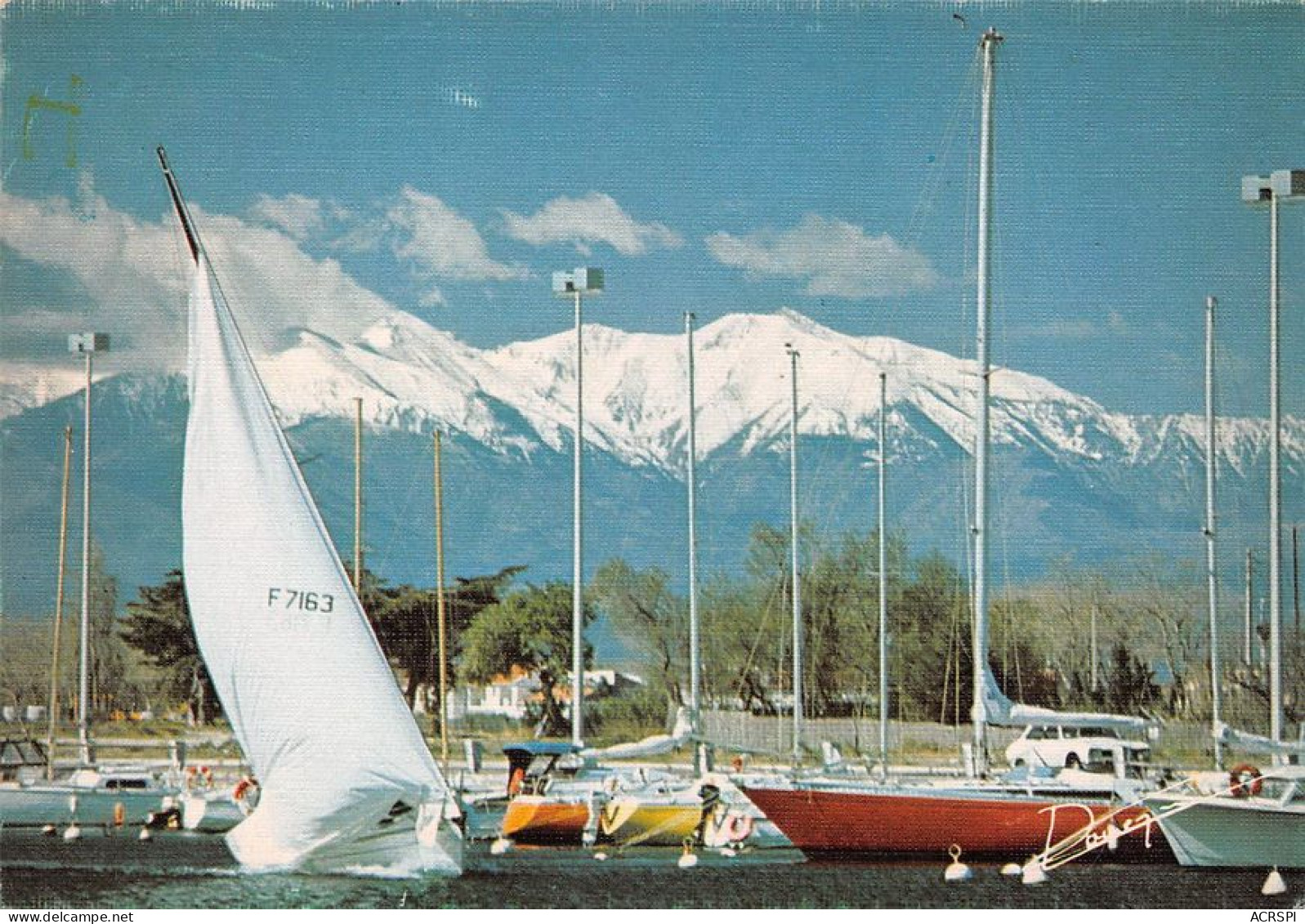 66  Saint-Cyprien  Les Voiliers Et Le Canigou      (Scan R/V) N°   7   \MT9118 - Saint Cyprien