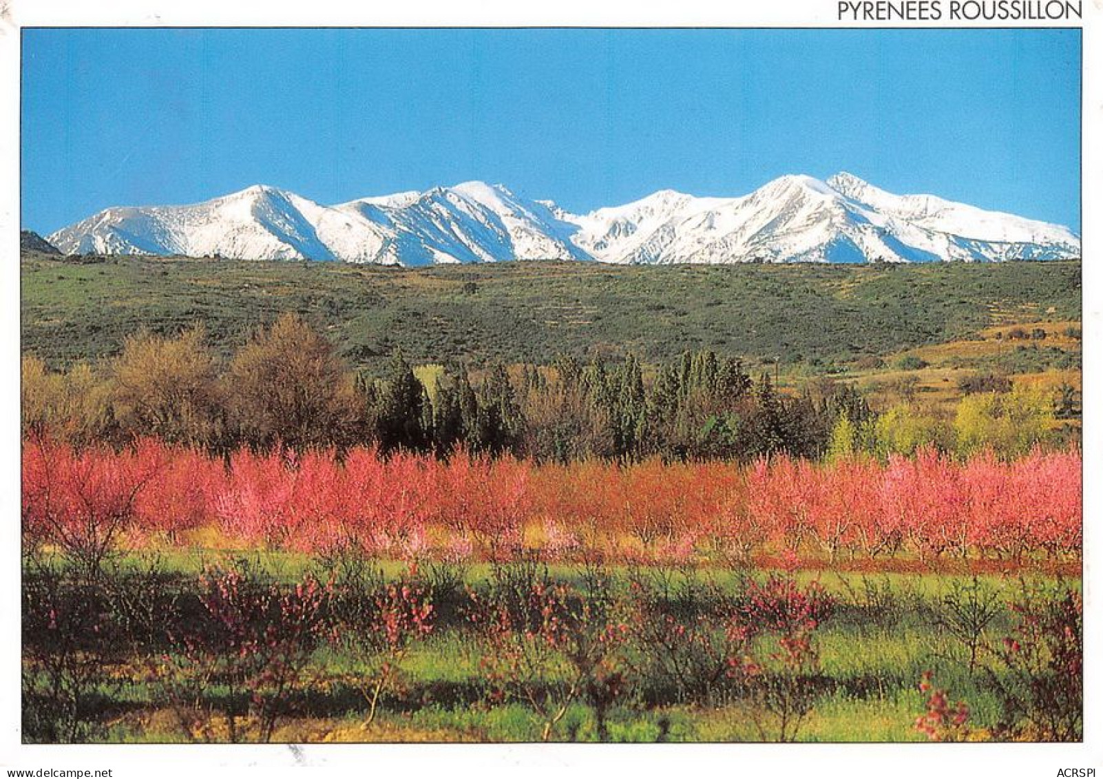 66 Prades Le PIC Du CANIGOU  Le Massif      (Scan R/V) N°   6   \MT9130 - Prades