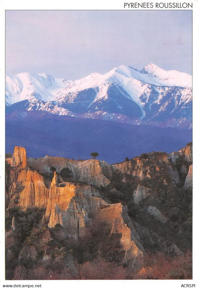 66  Casteil  Le Pic Du Canigou Et Les Orgues D'Ille Sur Têt   (Scan R/V) N°   32   \MT9130 - Prades