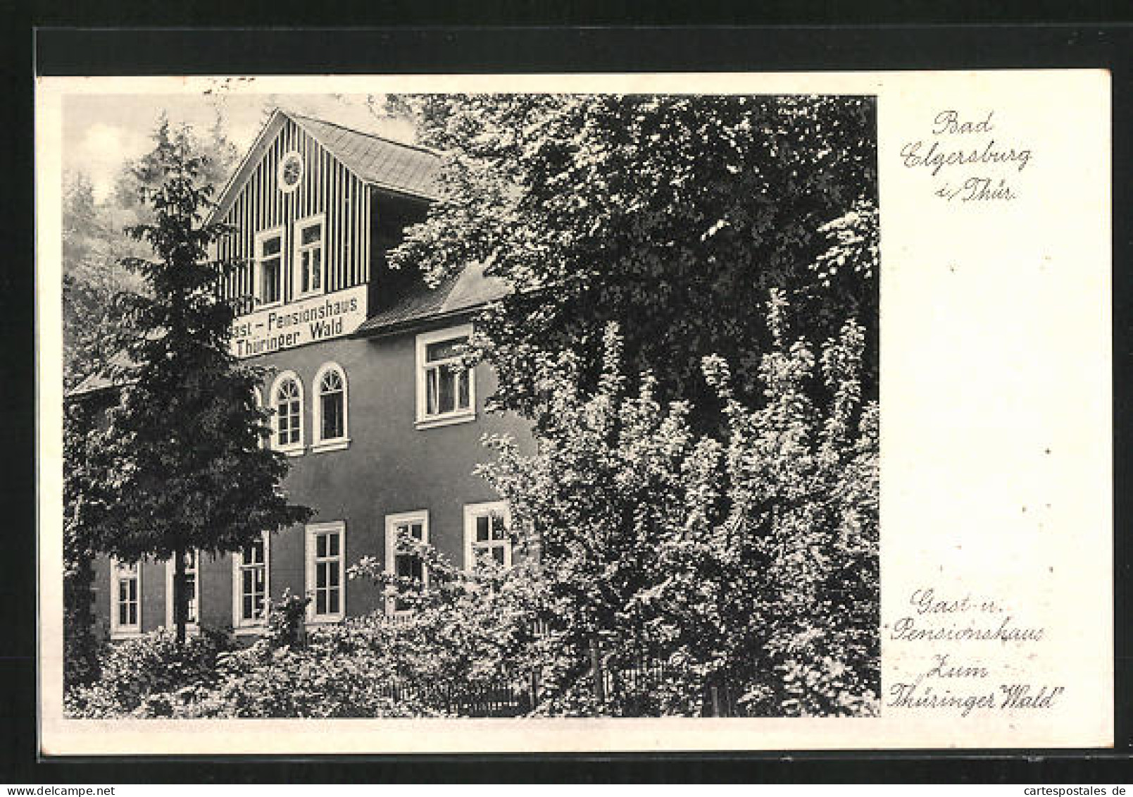 AK Bad Elgersburg I. Thür., Gasthaus Zum Thüringer Wald  - Elgersburg