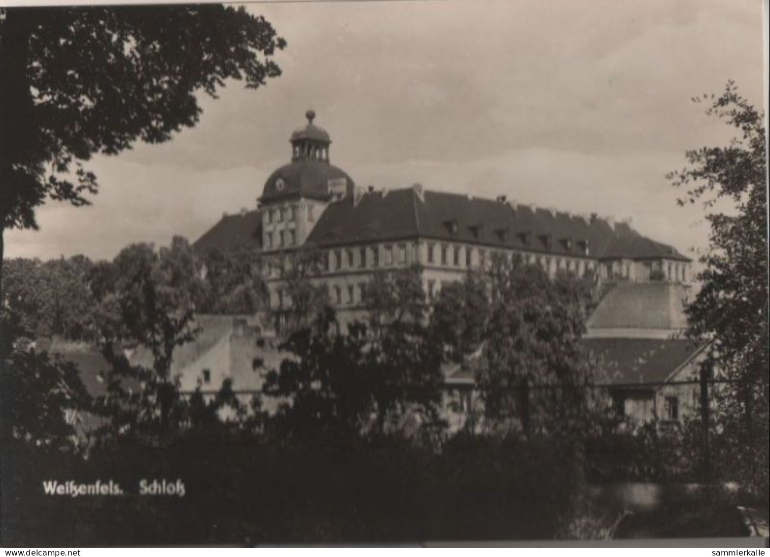 39920 - Weissenfels, Saale - Schloss - Ca. 1970 - Weissenfels