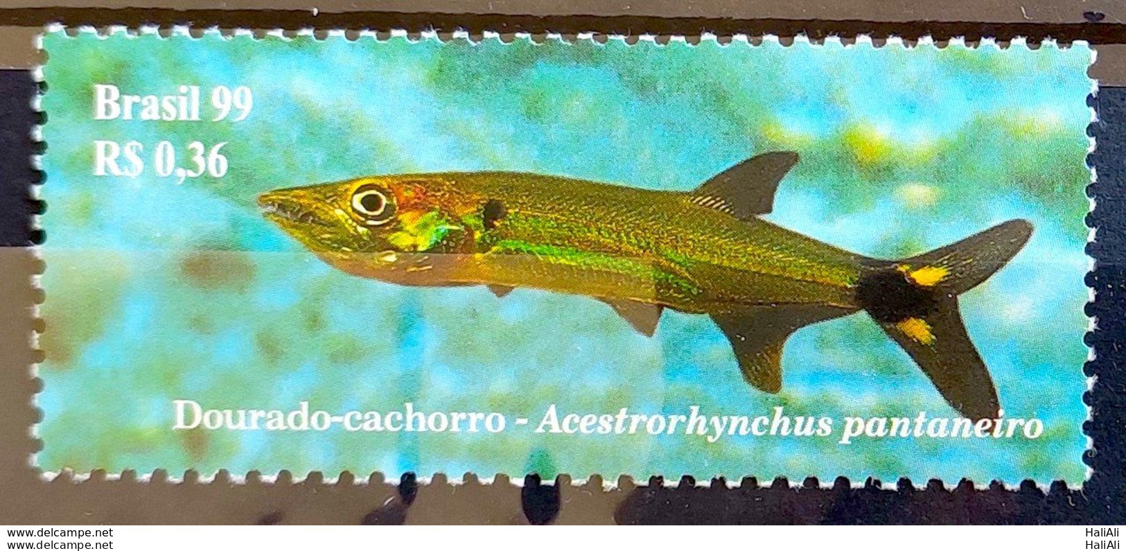 C 2214 Brazil Stamp China Year Of The Rabbit Fish In The Pantanal 1999 - Unused Stamps