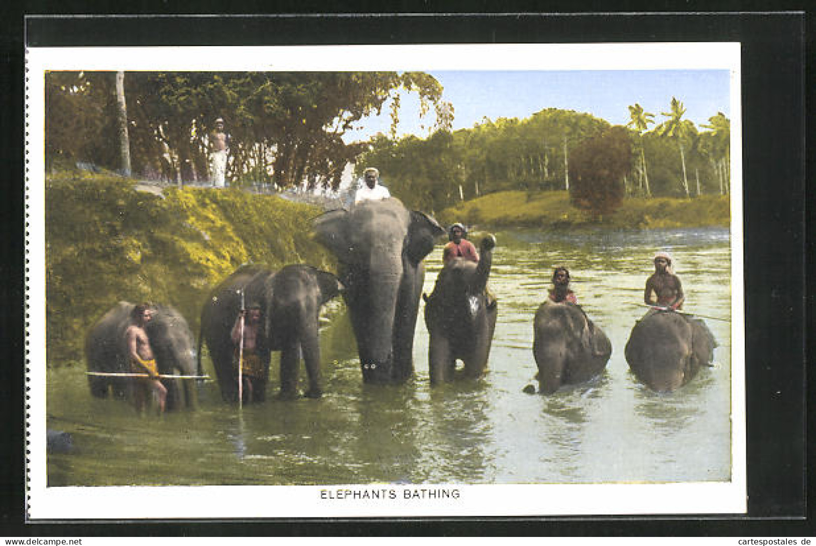 AK Elefanten Beim Bad In Einem Fluss  - Éléphants