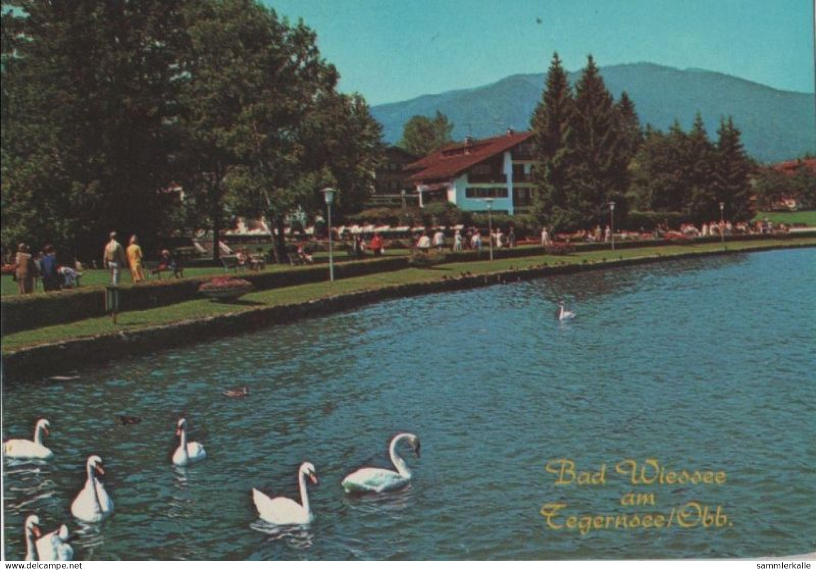 64064 - Bad Wiessee - An Der Seepromenade - Ca. 1985 - Bad Wiessee