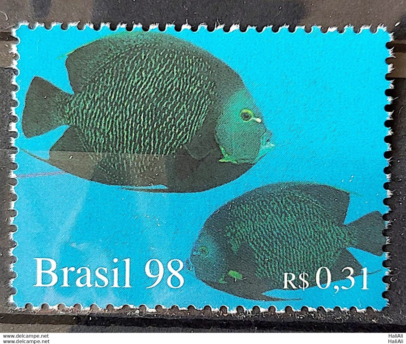 C 2105 Brazil Stamp Oceans Fish 1998 - Unused Stamps